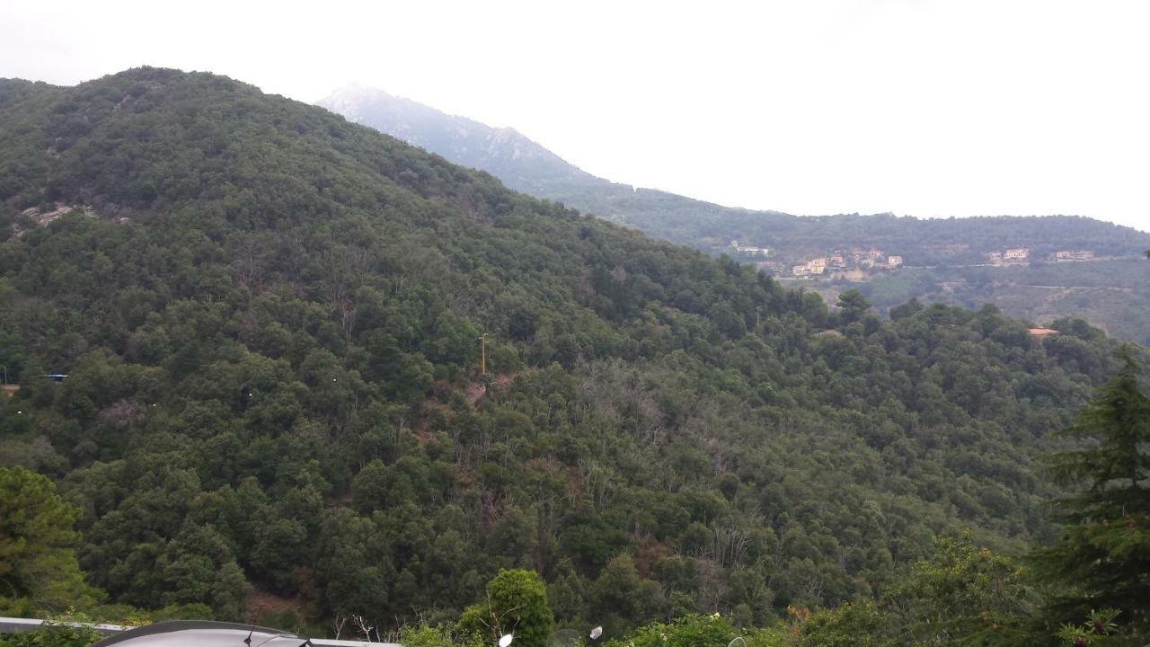 شقة La Casalina Dell'Elba مارشيانا المظهر الخارجي الصورة