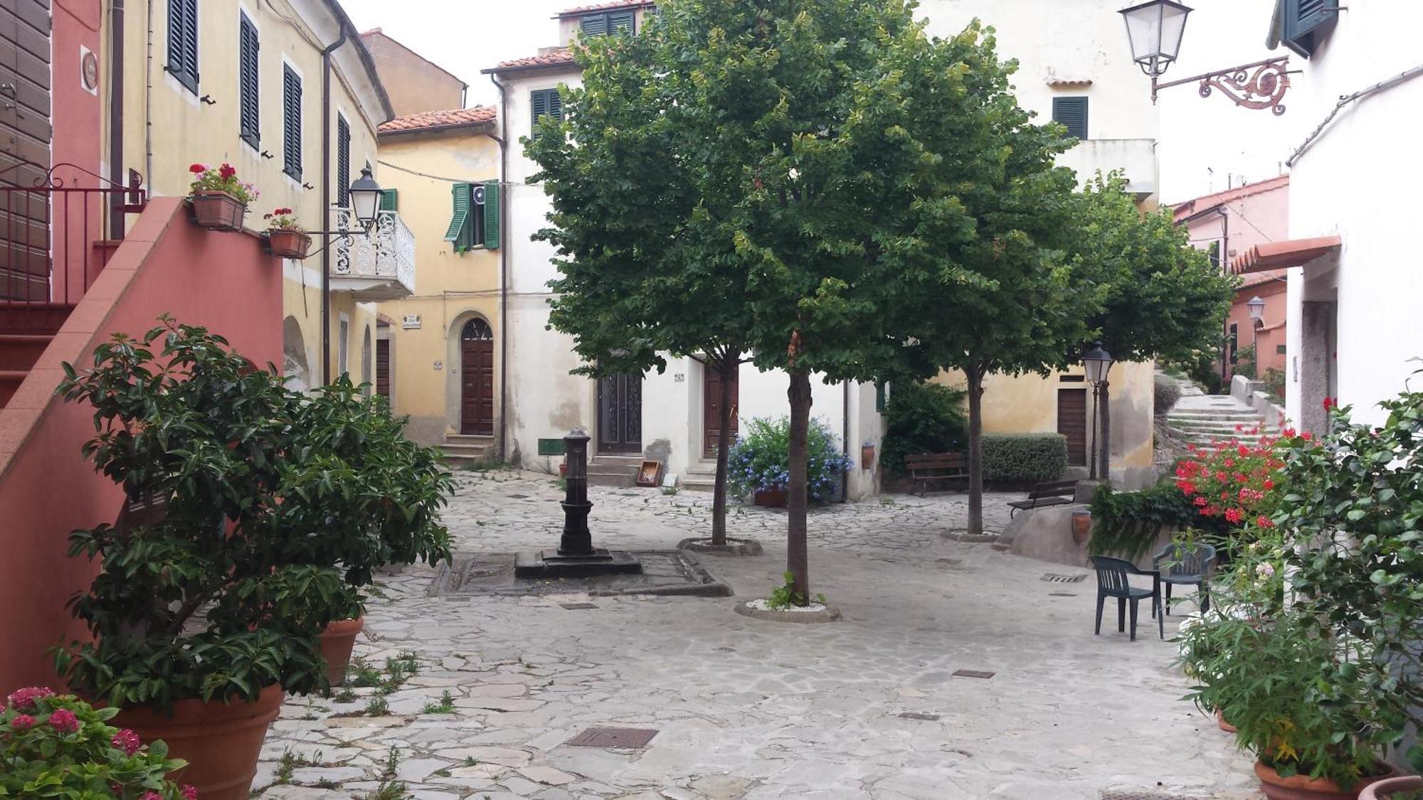 شقة La Casalina Dell'Elba مارشيانا المظهر الخارجي الصورة